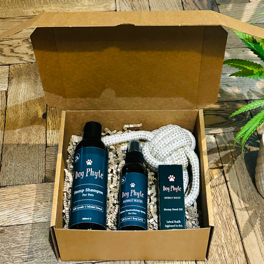 Dog Phyte Gift box