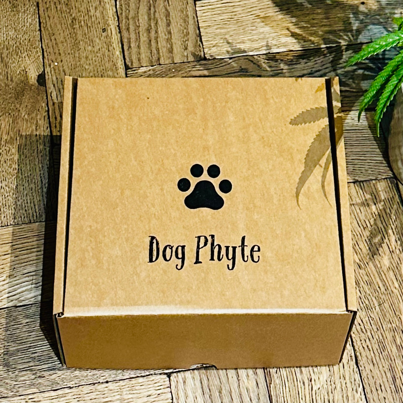 Dog Phyte Gift box