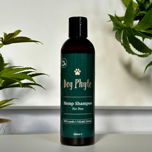 Hemp Shampoo for Pets