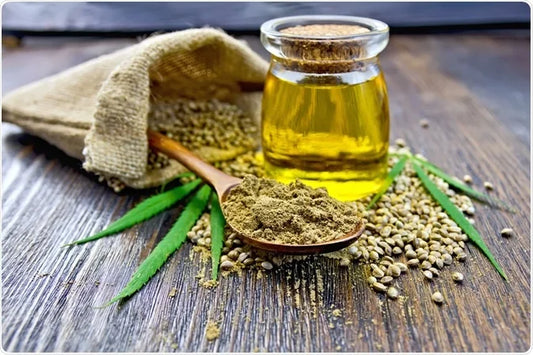 The Pawsitive Power of Hemp Seed Oil: Benefits for Your Furry Friend