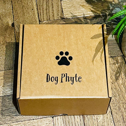Dog Phyte Gift box